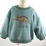 Mini Fashion™ - Leuke Printen - Trui Groen - Dinosaurus / 90 (2 jaar) | Educatief Speelgoed