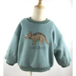 Mini Fashion™ - Leuke Dinosaurus Print - Dino Sweater Groen / 130 (6 jaar) | Educatief Speelgoed