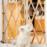 Huisdierenhek Quax Trippy Naturel