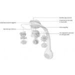 Infantino Muziekmobiel Projector Cream/Grey