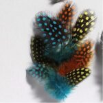 Parelhoenveren 3-10 cm - blauw, geel en oranje±40 stuks