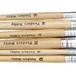 Panduro penselen set - vernis - plat - 6 stuks