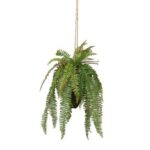 Plant Woood Varen Hangend 58cm 375139-G