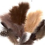 Veren marabou&guinea assorti aarde