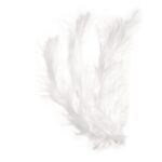 Donsveren - 15 stuks - wit