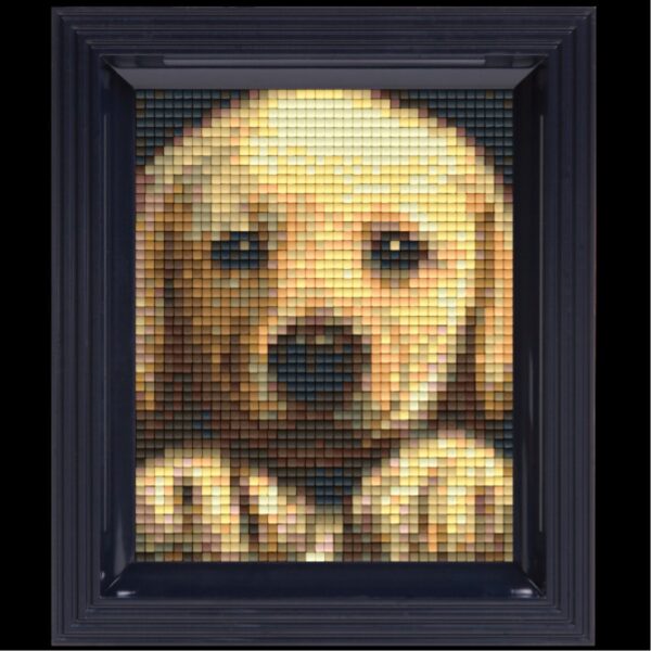 Pixelhobby set met lijst - hond - Afbeelding 1