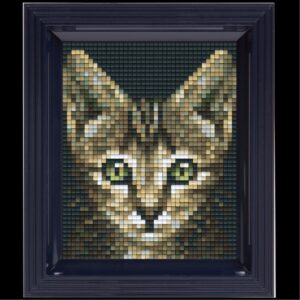 Pixelhobby set met lijst - poes