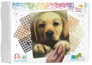 Pixelhobby set - 4 platen - golden retriever