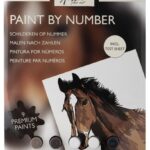 Schilderen op nummer - karton - paard