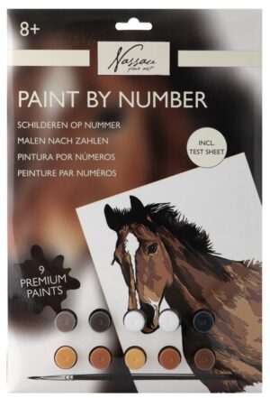 Schilderen op nummer - karton - paard