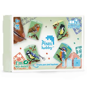 Pixelhobby medaillon thema box - Vogels