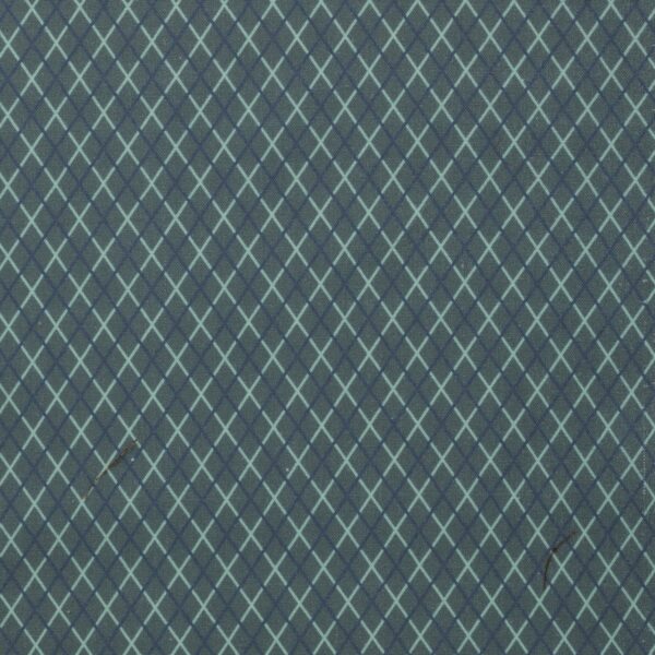 Stof katoen - 50x70 cm - ruitjes blauw - Afbeelding 1