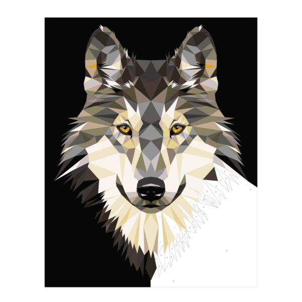 Schilderen op nummer - wolf - Afbeelding 1
