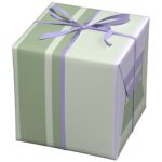 Cadeaupapier - 10 meter - groen/paars