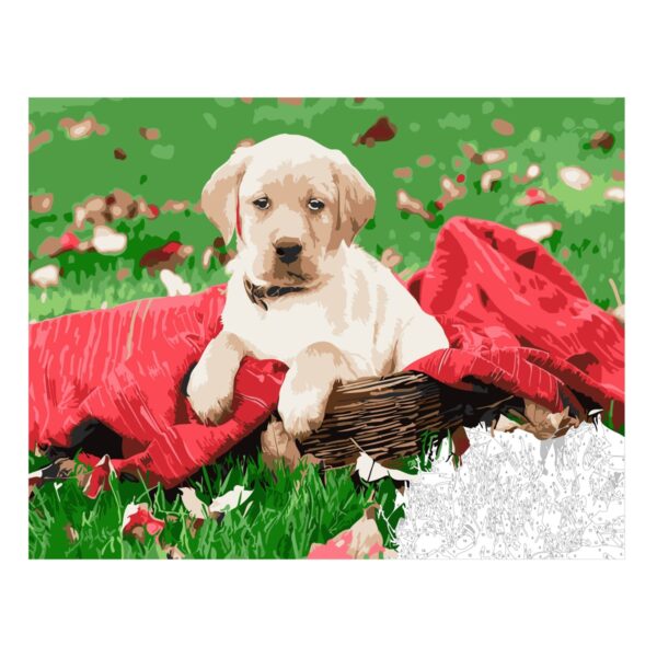 Schilderen op nummer - hond - Afbeelding 1