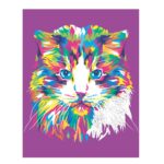 Schilderen op nummer - kat