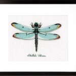 Telpakket Libel aida