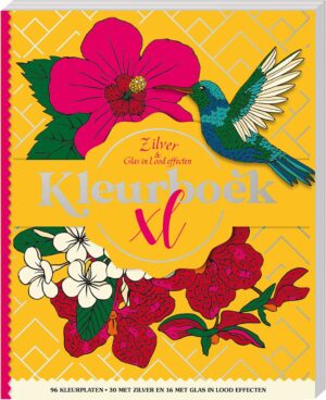 Kleurboek - Kleurboek XL - Zilver&Glas-in-lood effecten