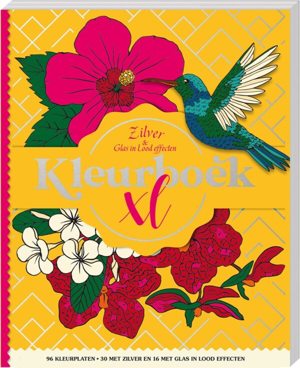 Kleurboek - Kleurboek XL - Zilver&Glas-in-lood effecten - Afbeelding 1