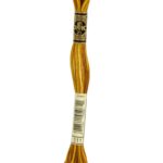 DMC Mouliné Spécial - 111