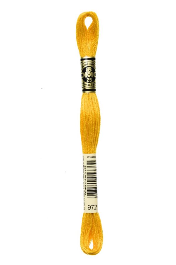 DMC Mouliné Spécial - 972 - Afbeelding 1
