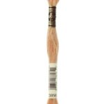 DMC Mouliné Spécial - 3856