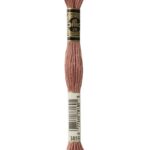 DMC Mouliné Spécial - 3859