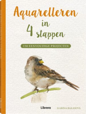 Boek - Aquarelleren in 4 stappen