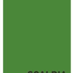 Omslagkarton - 50x70 cm - middengroen