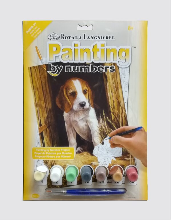 Schilderen op nummer - beagle puppy - Afbeelding 1