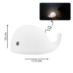 Projector Flow Amsterdam Moby