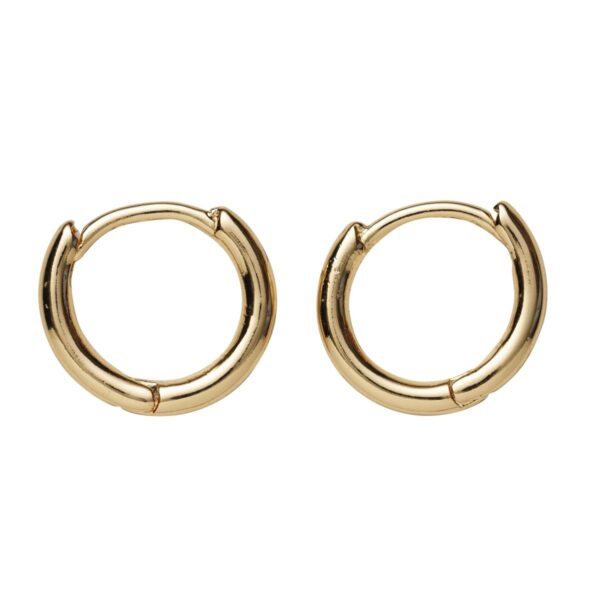 Charm Series oorbellen rond - goudkleurig - Afbeelding 1