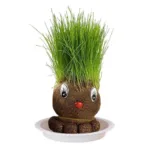 Figure Plants™ - Leer planten verzorgen -  Thuis Decoratie Planten Groen Gras Mol | Educatief Speelgoed