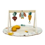 Luxe Gymini Tiny Love Garden of Adventures