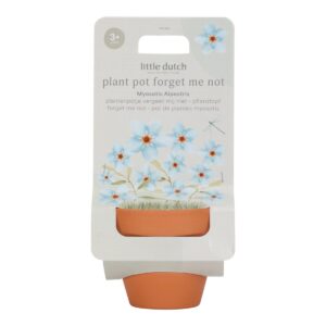 Plantenpotje Little Dutch Vergeet-Mij-Niet