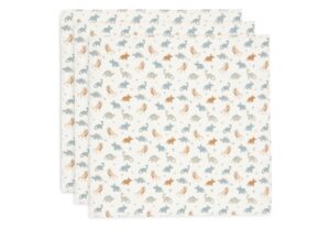 Multidoek Jollein Hydrofiel 70x70 Roarsome 3st