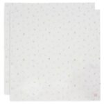 Multidoek Jollein Hydrofiel 115x115 Lovely Birds 2-pack