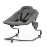 Wipstoel Hauck Alpha Bouncer Premium Dark Grey