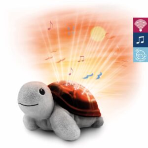 Sunset Projector Zazu Tim de Schildpad