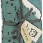 Washandjes Briljant Baby Hydrofiel Art Artic 3st