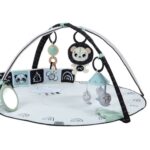 Speelkleed Tiny Love Gymini Classic Black&White