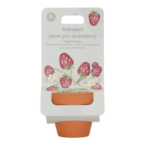 Plantenpotje Little Dutch Aarbei - Afbeelding 1