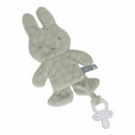 Speendoekje Nijntje Green Flower