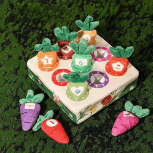 Sensory Carrots– Voelen&Plukken– Zintuiglijk Speelgoed 1 t/m 9 | Educatief Speelgoed
