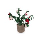 Plant KidsDepot Apple