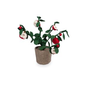 Plant KidsDepot Apple