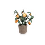 Plant KidsDepot Orange