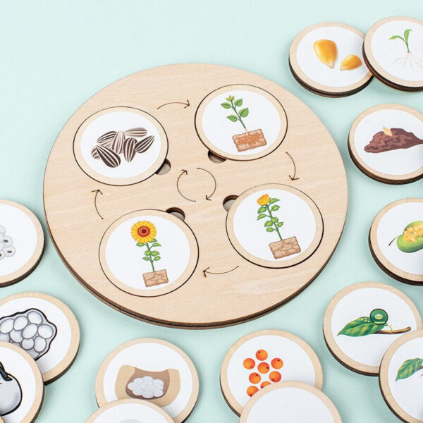 Woods™ - Leer de levenscyclus ontdekken! - Houten puzzel | Educatief Speelgoed - Afbeelding 1