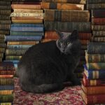 Library Cat (1000) - Cobble Hill  Legpuzzel