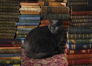 Library Cat (1000) - Cobble Hill  Legpuzzel